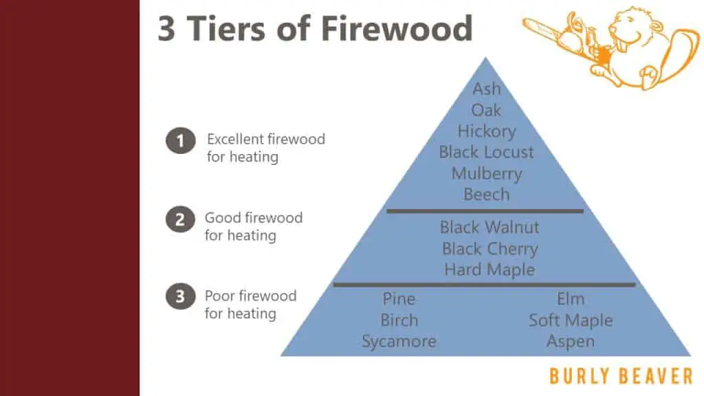Black Locust Firewood: How Good is It Compared to Other Wood ...