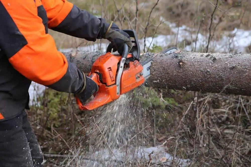 Chainsaw Not Cutting Straight? Here’s What’s Wrong. Burly Beaver